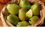 -pear clothing-