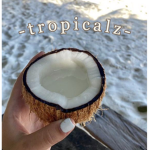 - t r o p i c a l z -