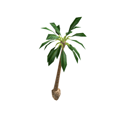 Realistic Low poly palm tree