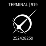TERMINAL | 919