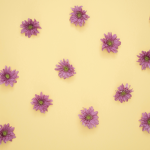 blossom_designs