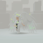 Rblx..mags