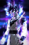 Goku is him clan