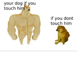 touch your dog from ohio