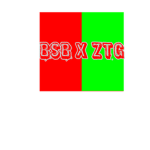 BSB X ZTG
