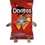 Dorito luv