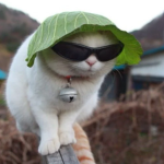 good games for u