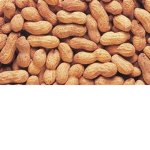 The Peanut Brain Community