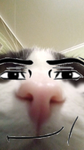 ANG3LSFORL1F3