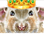 rats are the gods of roblox