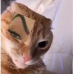 Insanos .v