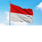 Indonesia pasti maju