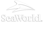 Orca Ocean Group Chat