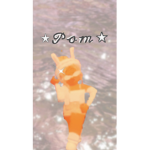 ~ᴘᴏᴍ sǫᴜᴀᴅ~