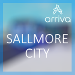 SallMore City