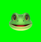 FROGGY FAMILY GROUP