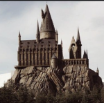 ~|Harry Potter Fans|~