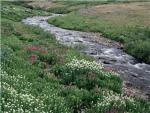 Creek people