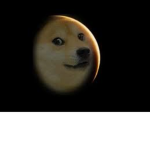 Doge Clan For Life