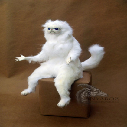 persian cat meme Roblox decal