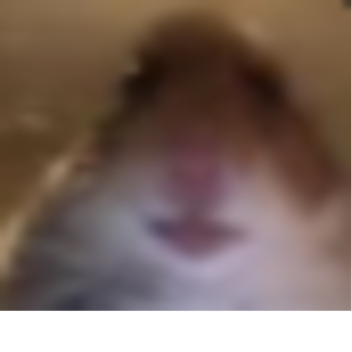 HE is here