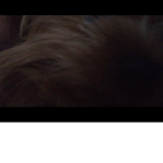 My dog PENNY IS ThE cOLEST