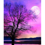 Armaan_Youtube