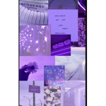XxaestheticshopxX
