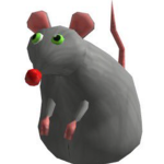 Rat lnc