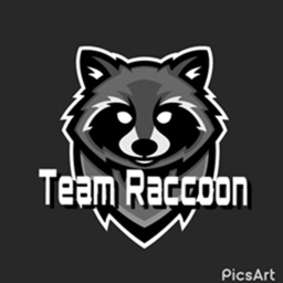#TEAM RACCOON! Hangout V1