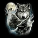 offical team wolf