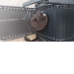 Blue berry cats
