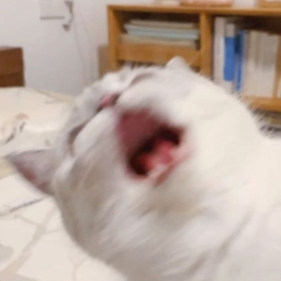 ღ
