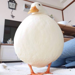 (WIP) Escape Big back duck's house obby!