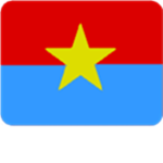 Viet Cong