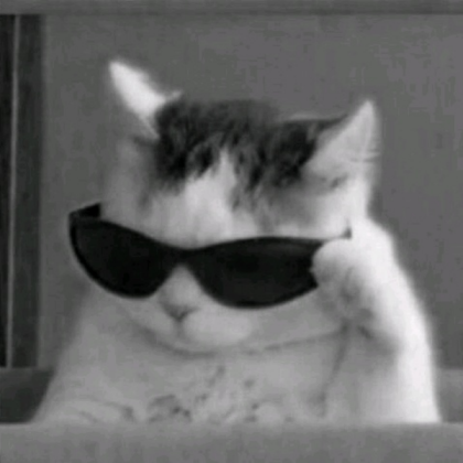 a cute cat Roblox decal