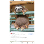 Poke l lol you