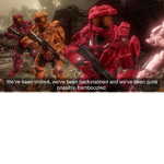 Bamboozled like Halo