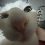 MyR4nd0mGr0up