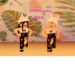 Unicorn Stars Team