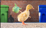 Chuck those ducks