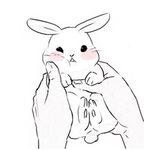 bunnyprintsinthesnow