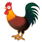 Rooster Interactive