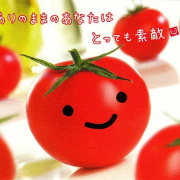 ˚ . ・ 🍅 ・ . ˚ 🥬 ♡