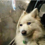 SAD MOD