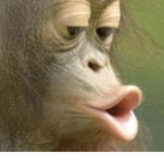 Monke power!