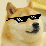 Doge Cool Experiences