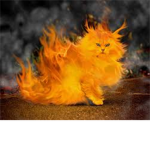 Fire Boy