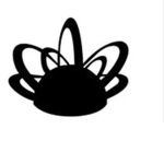infiroes minions