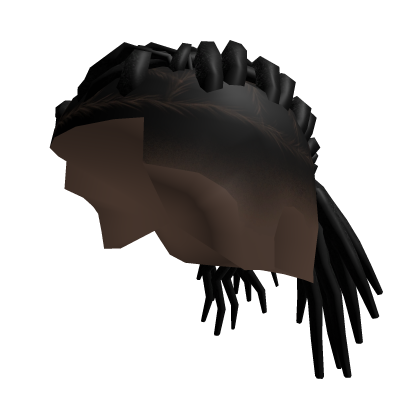 Twin Braided Locs [Black]  Roblox item